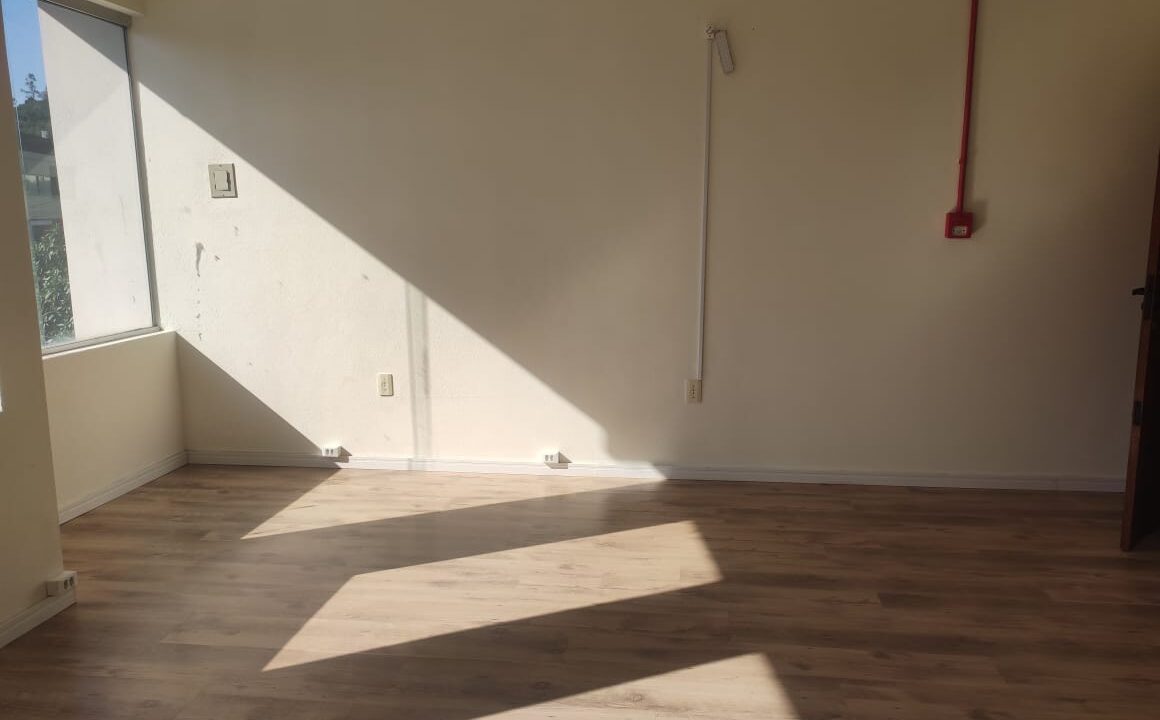 WhatsApp Image 2025-09-15 at 09.07.27